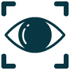 vision for safety